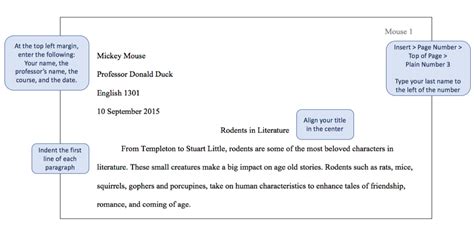 What Does a Heading Look Like in an Essay? A Detailed Exploration